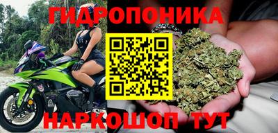 каннабис Бийск