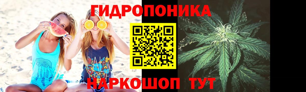 Шишки марихуана марихуана  Конопля VHQ  Марихуана AK-47  Канабис семена  Кропоткин  Вход с VPN 